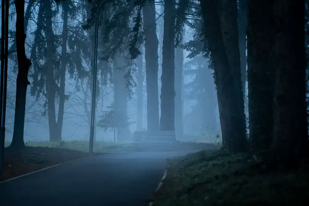 The Cold Grey game scene